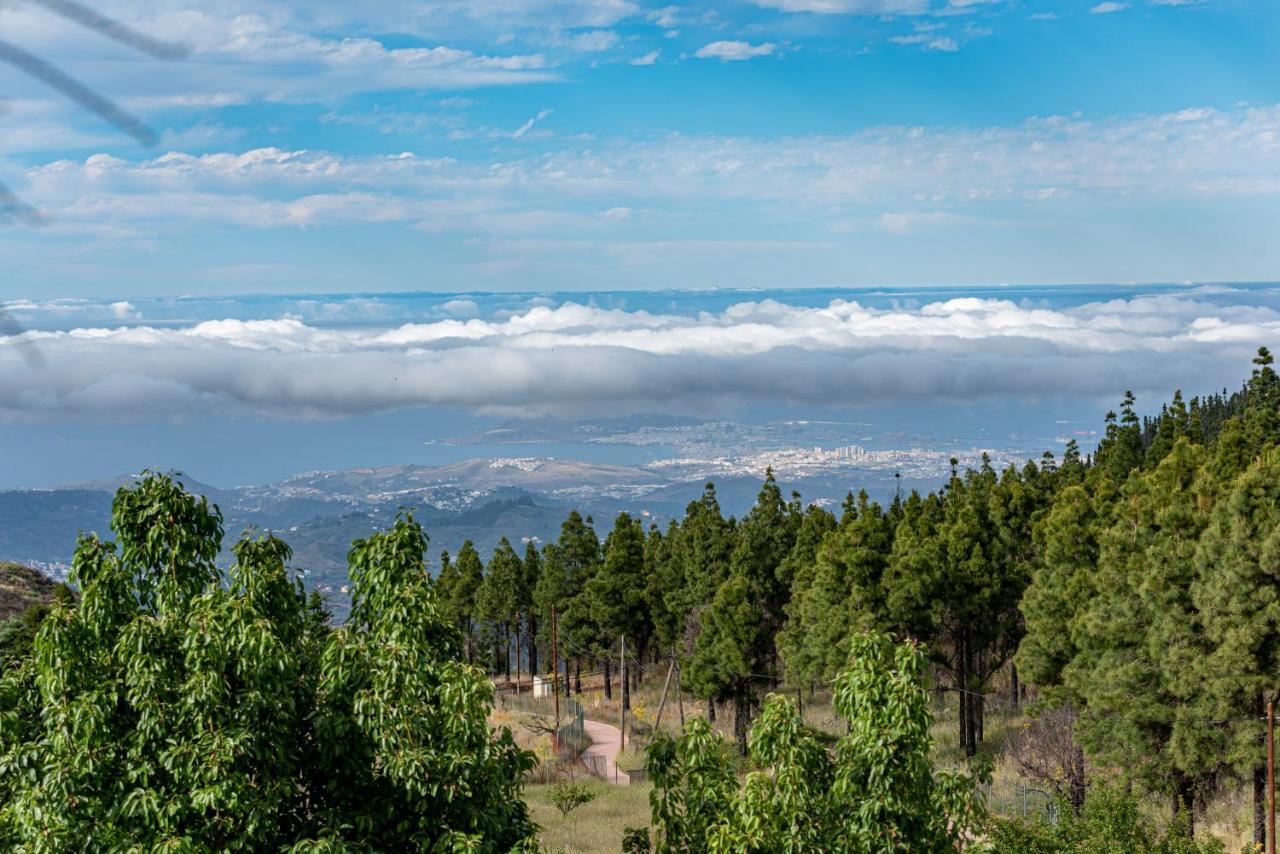 Roque Nublo Rural Houses I Vega de San Mateo Bagian luar foto